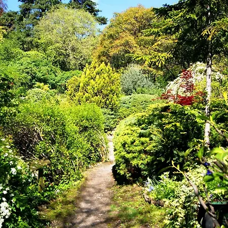 Tra Cielo E * Cernobbio